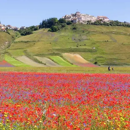 펜션 Terrazza Mezule 나르니